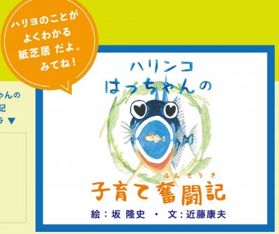 ハリヨの学習 | 自然環境