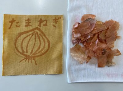 ファッション産業と環境問題　ハンカチ染体験バージョン | 温暖化・気候変動