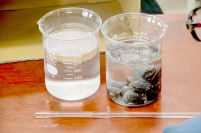 川をきれいにするのはだれ？ | 生物多様性