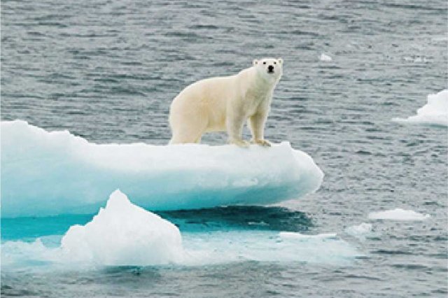 温暖化・気候変動