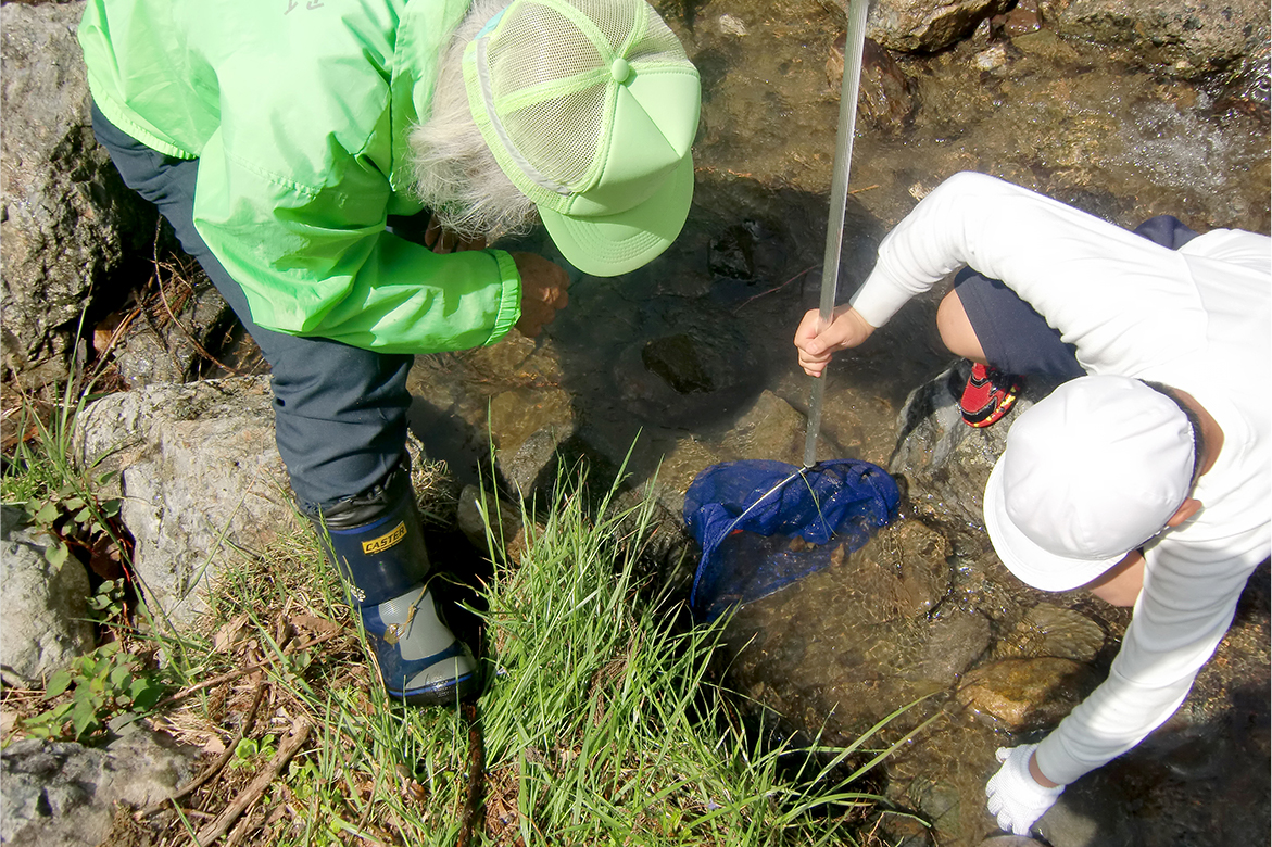 カワゲラウォッチング | 自然環境