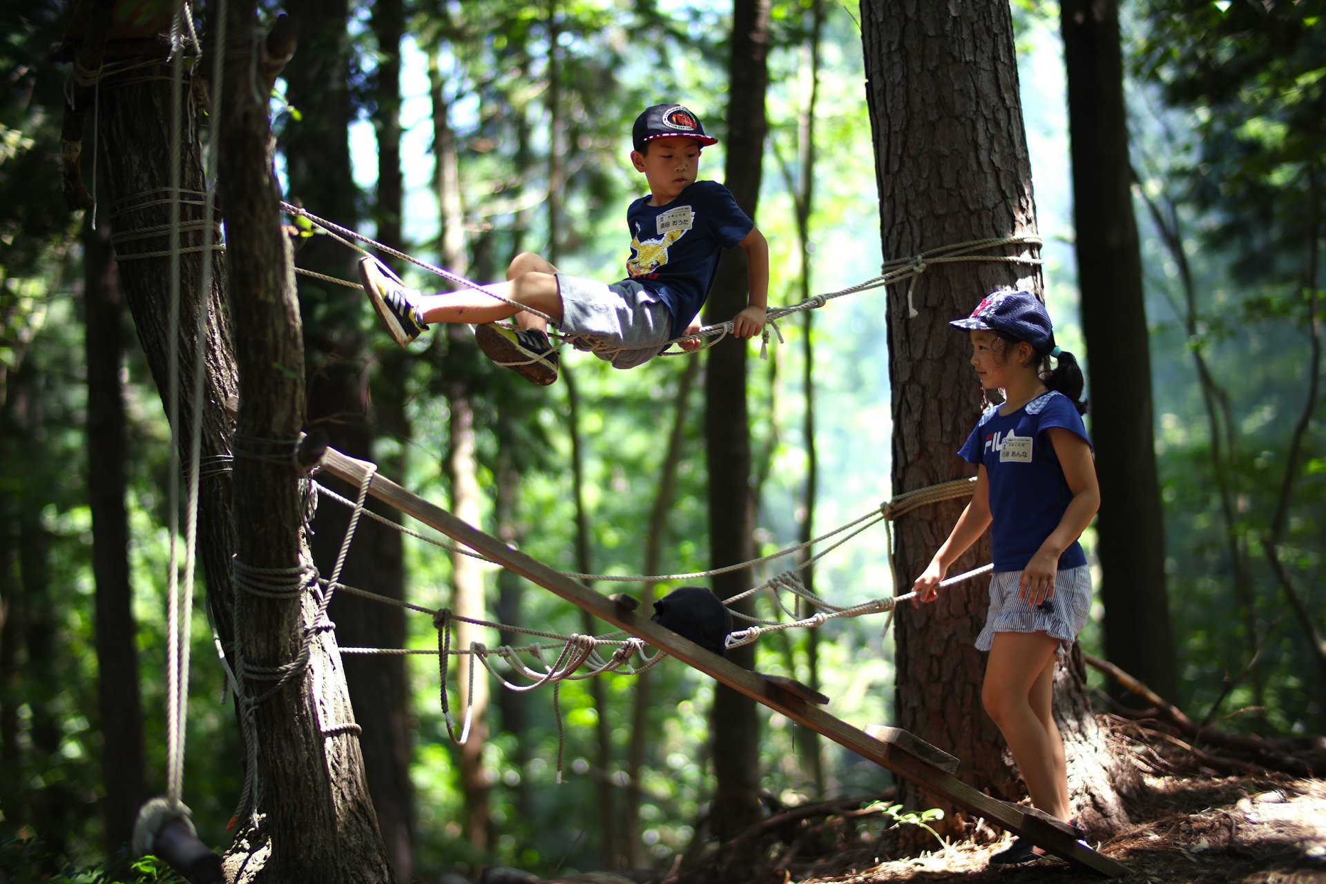 森林総合教育センター（<ruby>morinos<rt>モリノス</rt></ruby>）