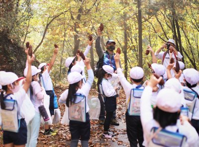 森林総合教育センター（morinos）における森林教育プログラム | 自然環境