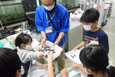 世界淡水魚園水族館<BR>「アクア・トト ぎふ」