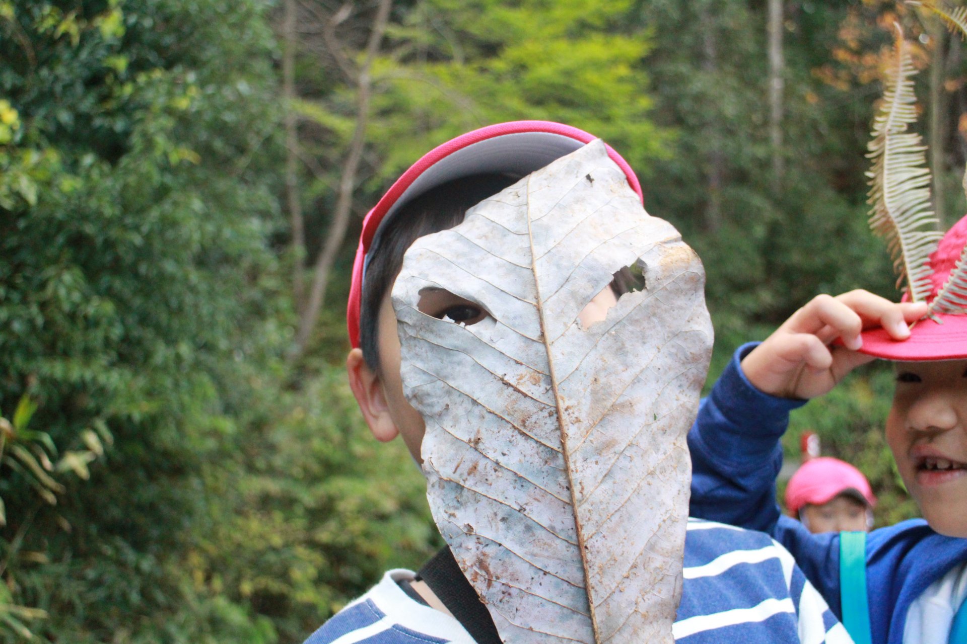 森林総合教育センター（morinos）における森林教育プログラム | 自然環境