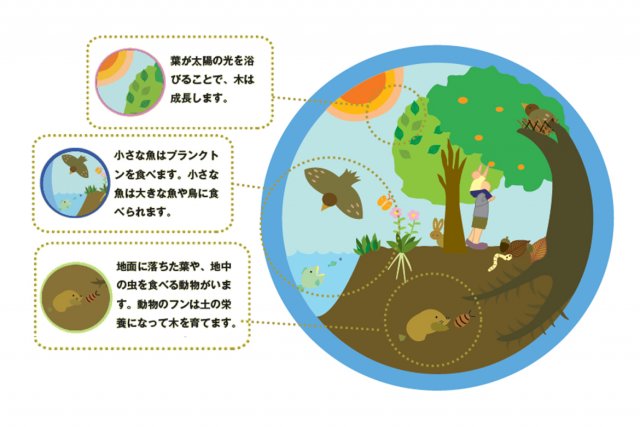わたしたちの生活は「生物多様性」に守られている！