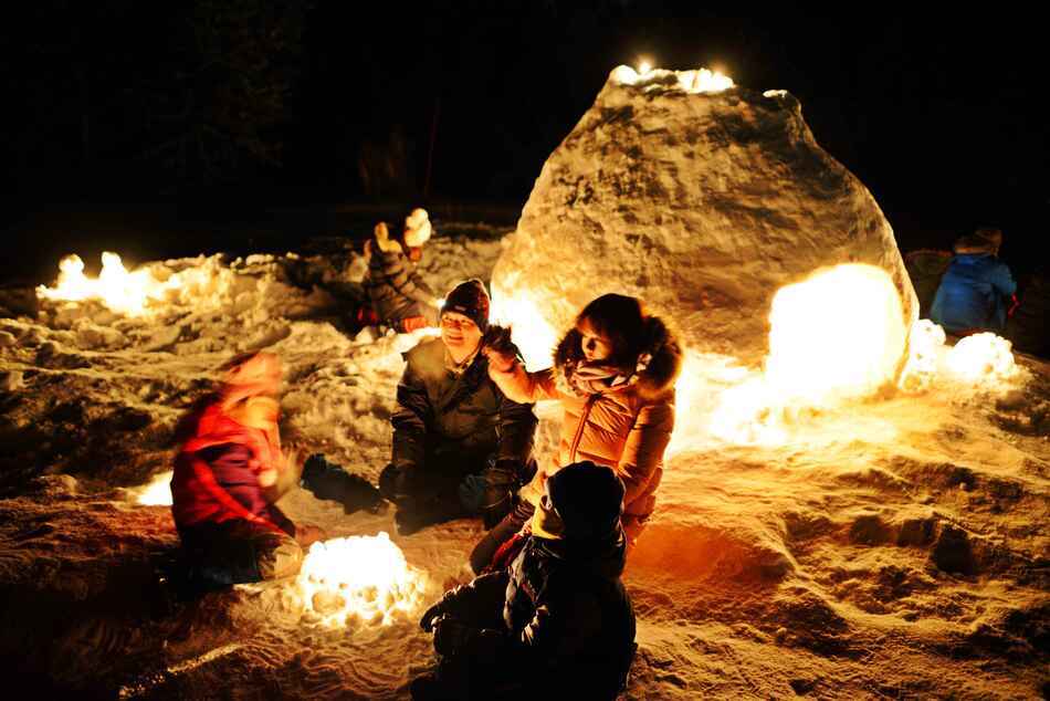 ワクワク！ナイトハイク（通年） | 自然環境