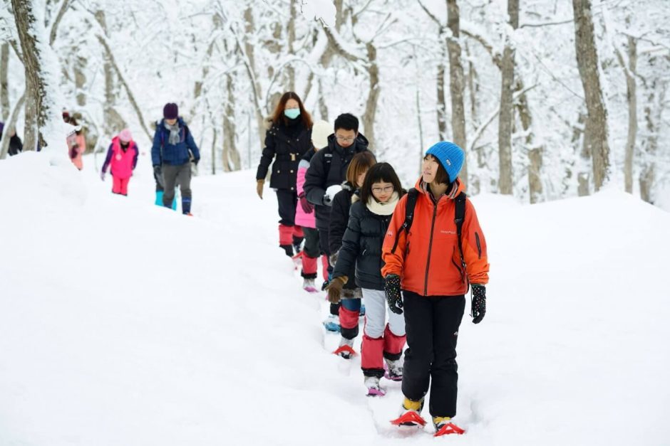 【森の達人と行く】ガイドウォーク（通年） | 自然環境