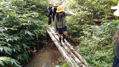 SDGs体験学習プログラム「源流ハイキング」 | 自然共生（生物多様性・気象・自然体験）