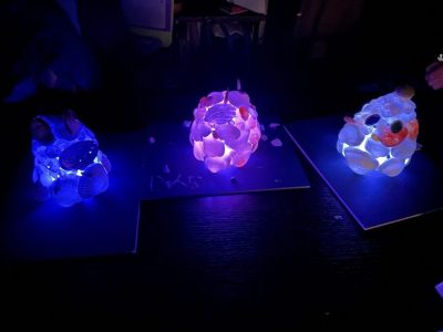 貝のランプシェードを創ろう | カテゴリで探す