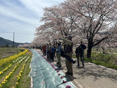 日本野鳥の会　岐阜　バードウォッチング（講師の派遣） | カテゴリで探す