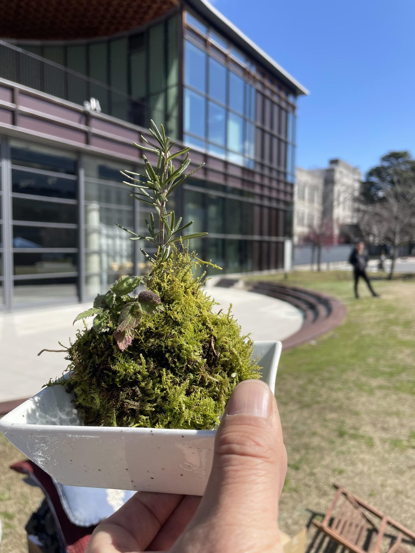 小さな里山の苔玉づくり体験 | カテゴリで探す