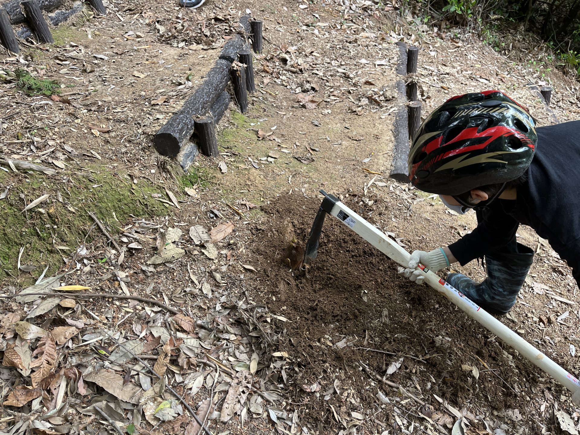 木と家にまつわるエトセトラ　山の恵み　竹林整備と筍堀 | カテゴリで探す