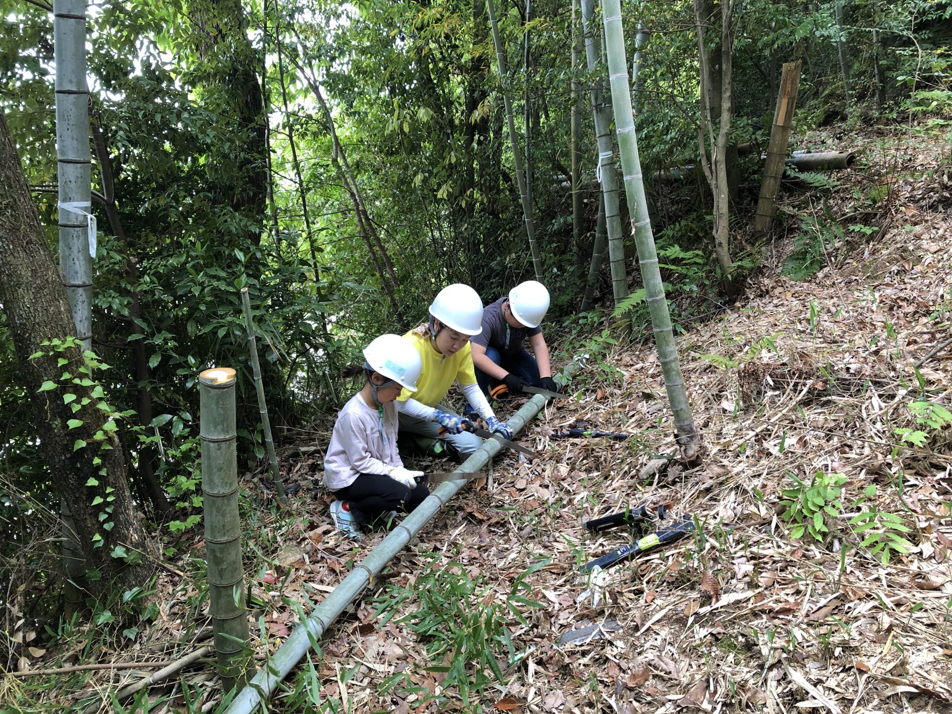 木と家にまつわるエトセトラ　山の恵み　竹林整備と筍堀 | カテゴリで探す