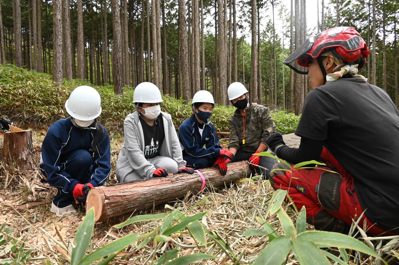 きこりおやこの伐採体験 | 自然環境