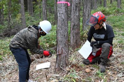 きこりおやこの伐採体験 | 自然環境