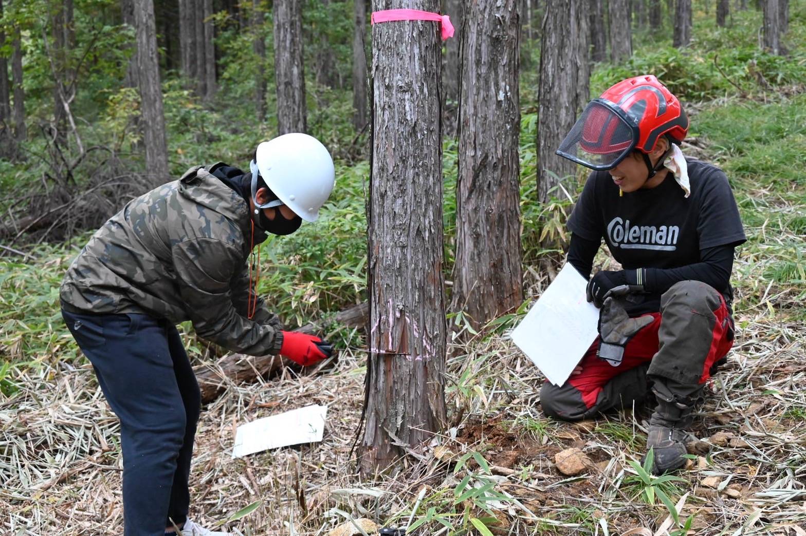 きこりおやこの伐採体験 | 自然環境