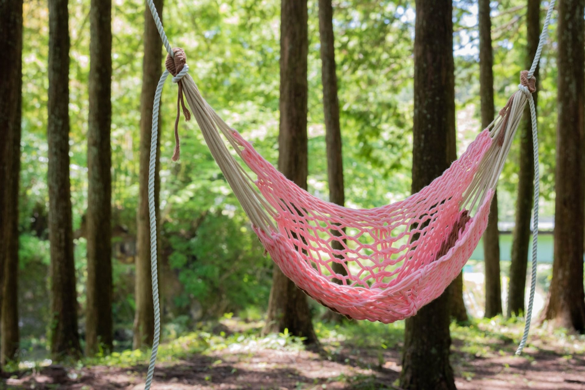 【出張講座】手作りハンモック体験 | 自然環境