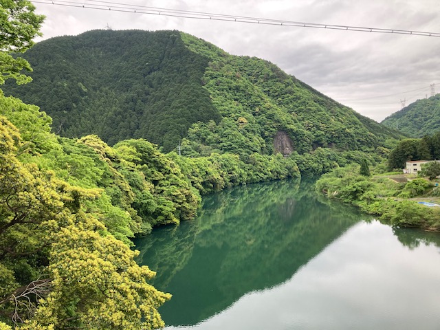 徳山ダム導水路現地見学ツアー | 自然環境