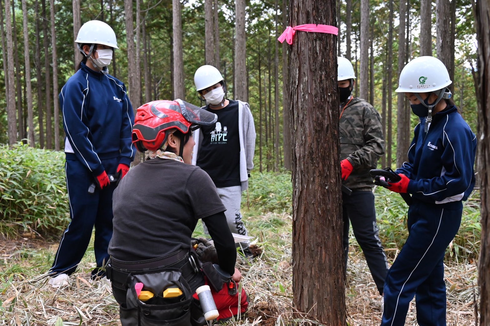 きこりおやこの伐採体験 | 自然環境