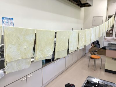 木と家にまつわるエトセトラ　山で遊ぶ　桜の小枝を拾って草木染（全2回連続講座） | カテゴリで探す