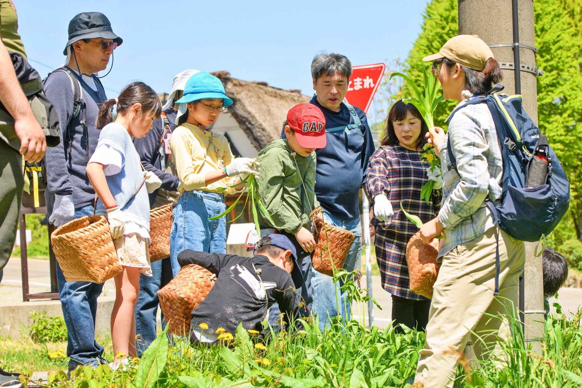 手作り石窯で焼く森の恵みピッツア – こんがり焼きたて、とろ～りチーズと森の恵みをほおばろう – | カテゴリで探す