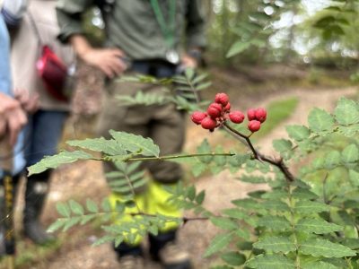 リコーえなの森　植物観察会 | 自然環境