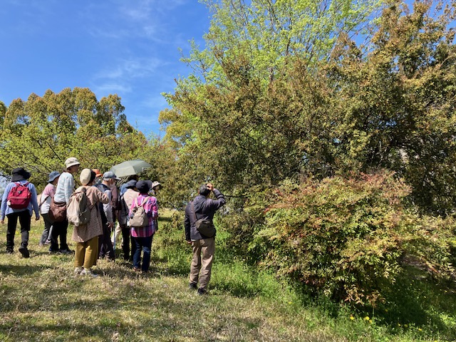 くるるSDGs   ～in岐阜大学キャンパス～ | 自然環境