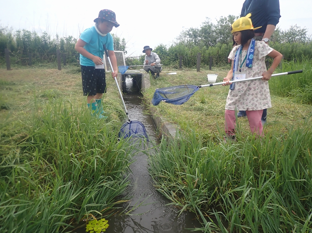 堀田の自然体験 | カテゴリで探す
