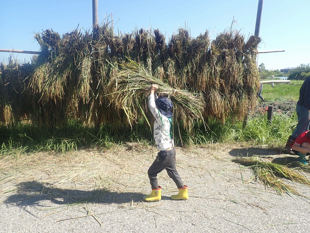堀田の自然体験 | カテゴリで探す