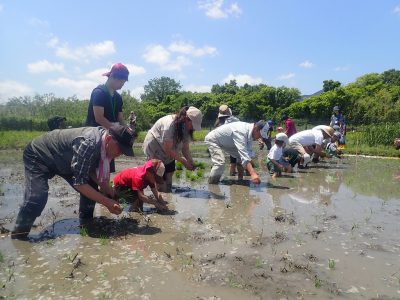 堀田の自然体験 | カテゴリで探す