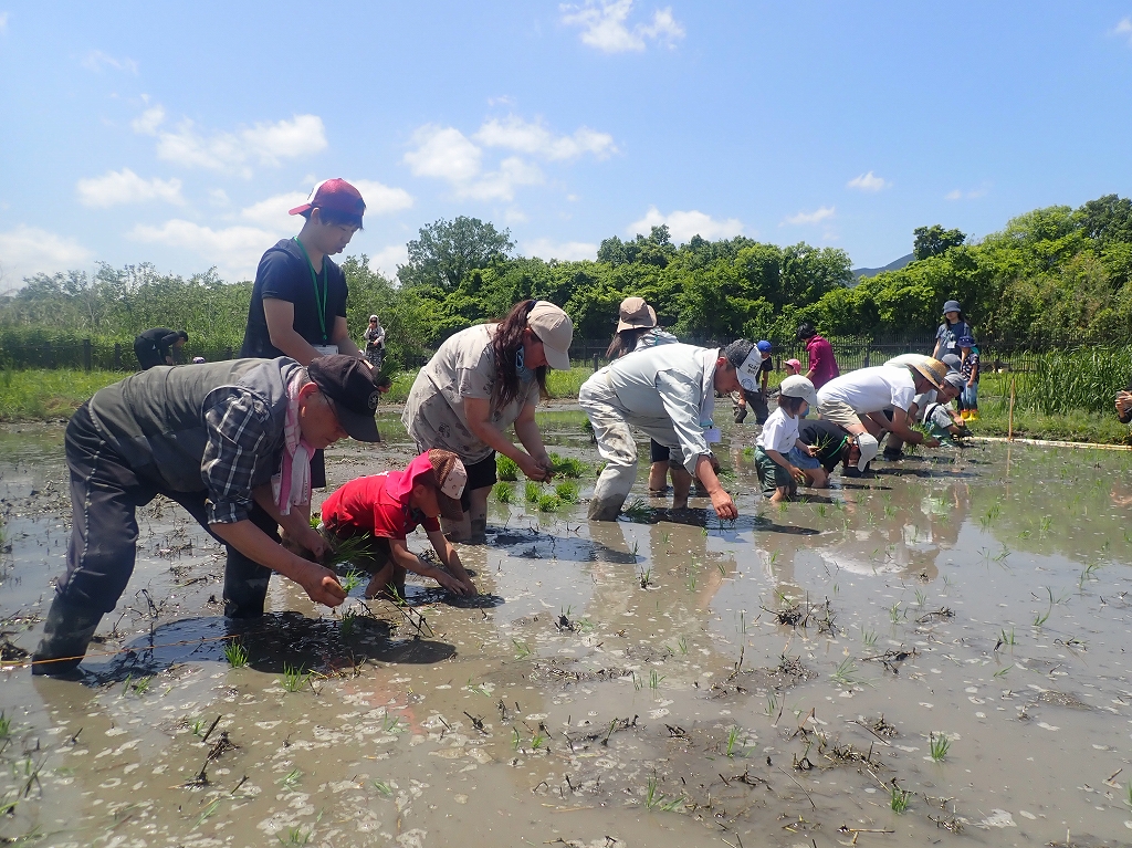 堀田の自然体験 | カテゴリで探す