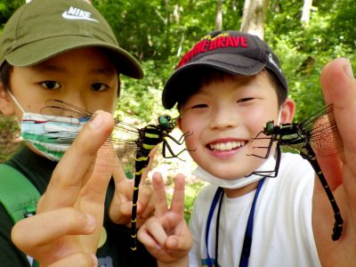 昆虫ハンターキャンプ – クワガタの森でなかまと昆虫三昧の3日間！ – | カテゴリで探す