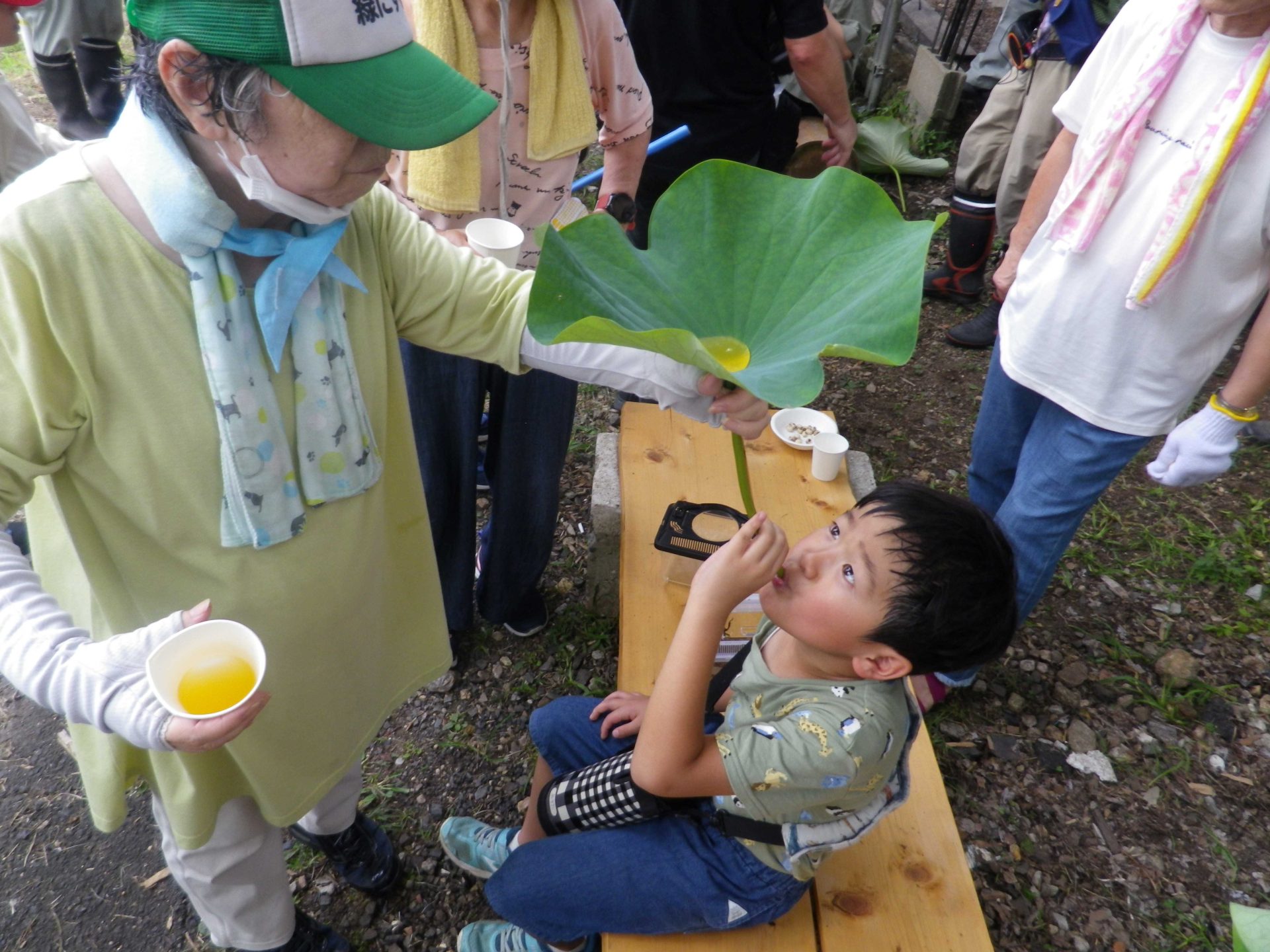 第１回環境楽習塾（大賀ハスまつり） | カテゴリで探す