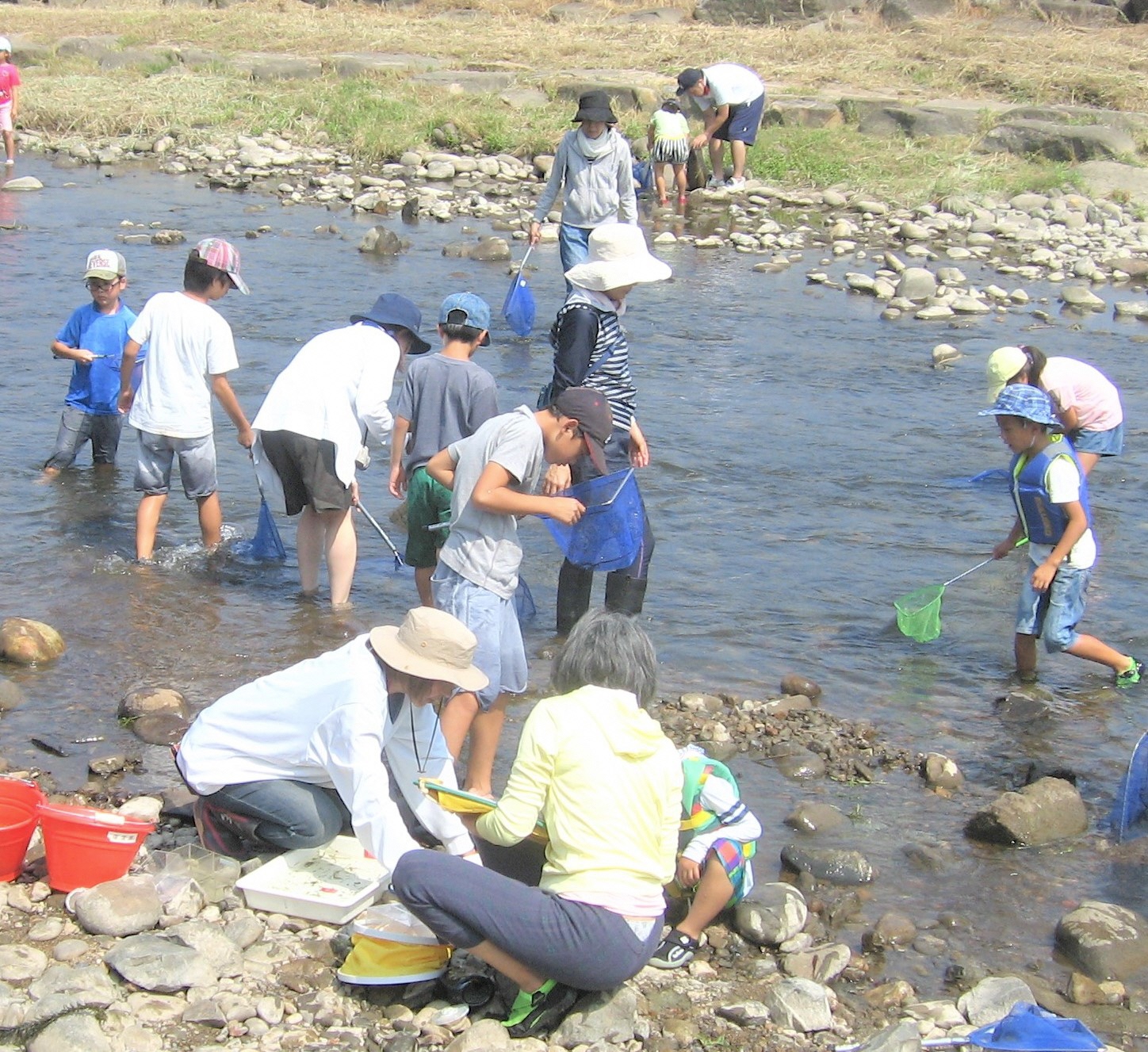 可児川探検ツアー【初夏】　　～川に入って観察しながら”生物多様性”を五感で学ぼう～ | カテゴリで探す