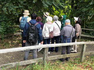 くるる自然塾 | 自然共生（生物多様性・気象・自然体験）