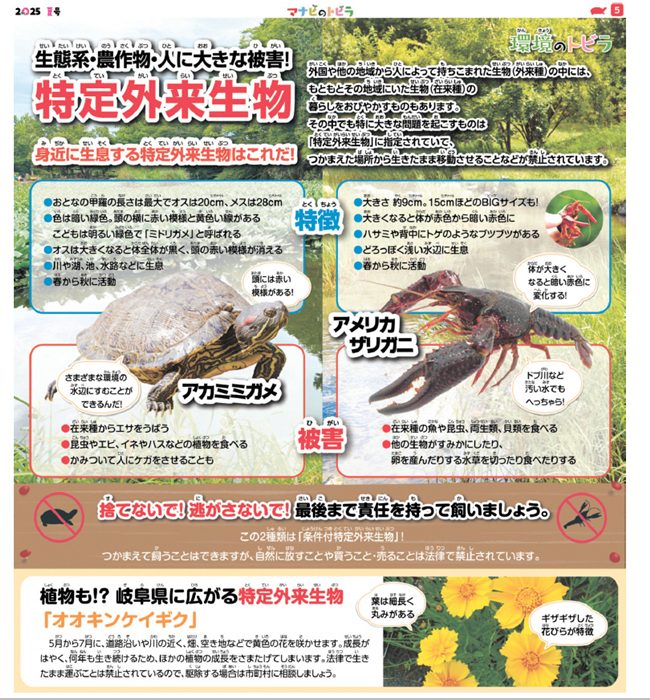 生態系・農作物・人に大きな被害！特定外来生物身近に生息する特定外来生物はこれだ！「マナビのトビラ　２０２５夏号」　５ページ掲載　　提供：岐阜新聞社