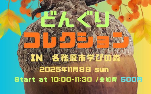 どんぐり　コレクション　IN　各務原市学びの森　 | 自然共生（生物多様性・気象・自然体験）