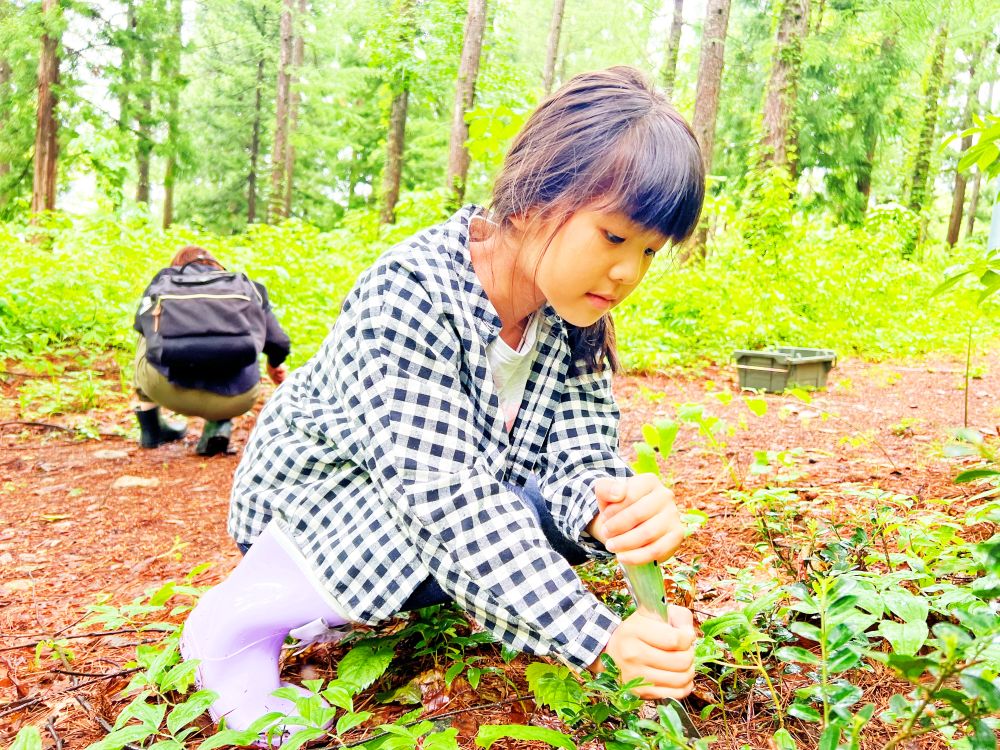 私の小さな森 ー自然の神秘が詰まったインテリアづくりー | 自然共生（生物多様性・気象・自然体験）
