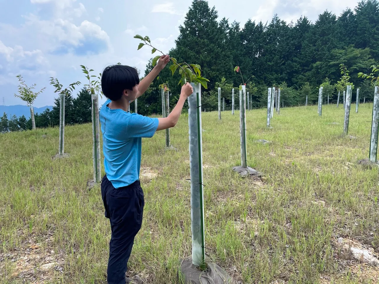 丸ス産業株式会社 | 中濃エリア