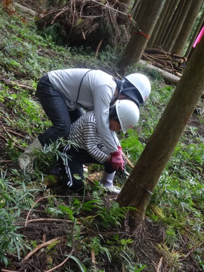 といろ | 岐阜エリア