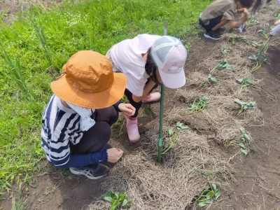 NPO法人つむぎの森 | 岐阜エリア