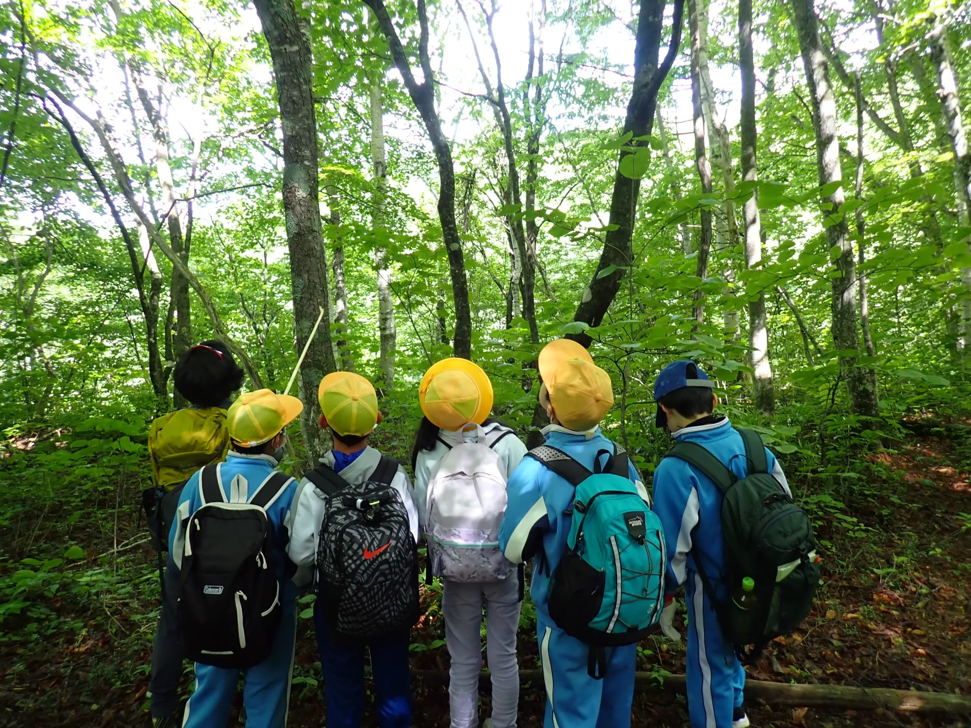 高山市 | 飛騨エリア