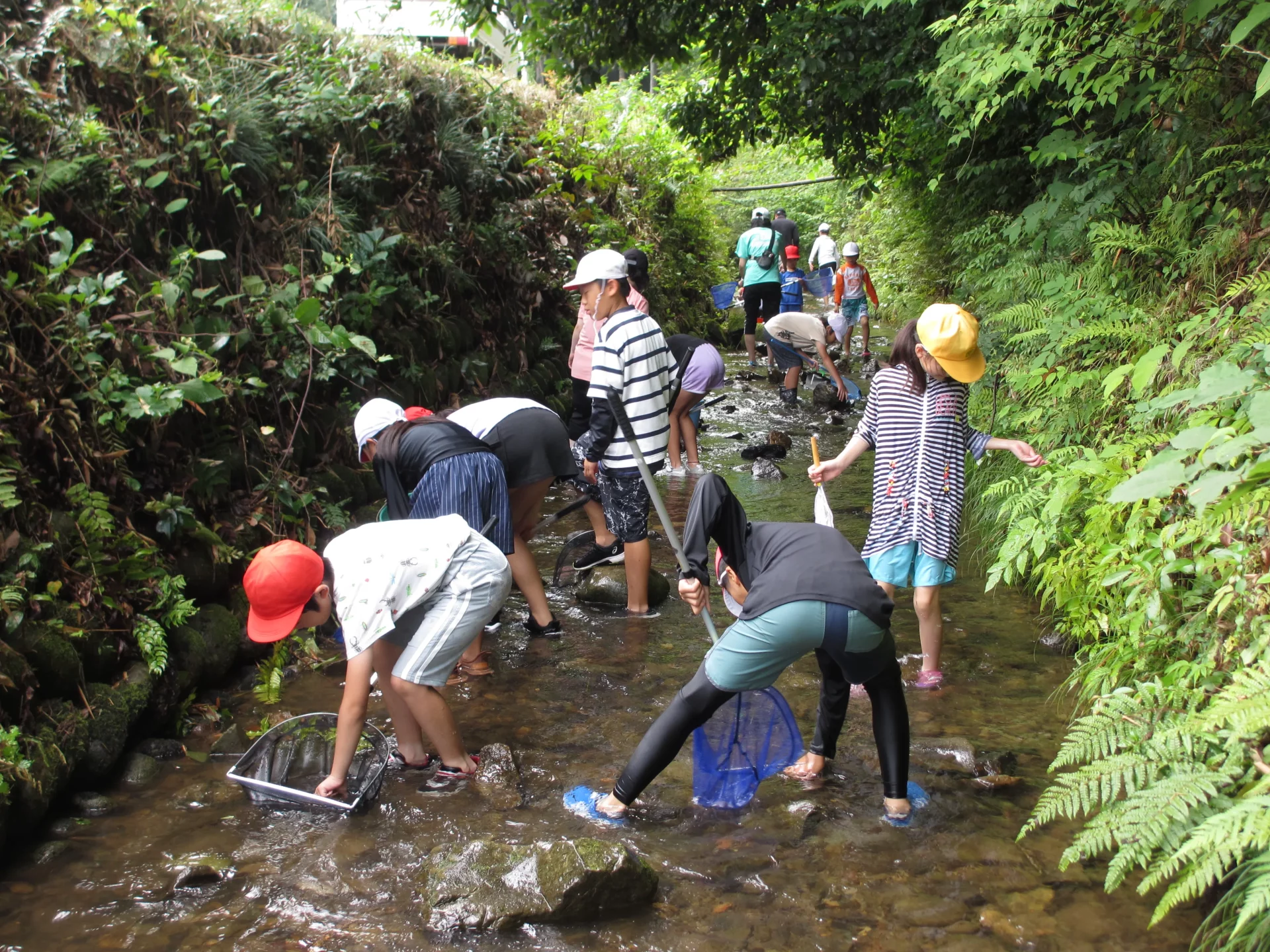 川辺町 | 中濃エリア