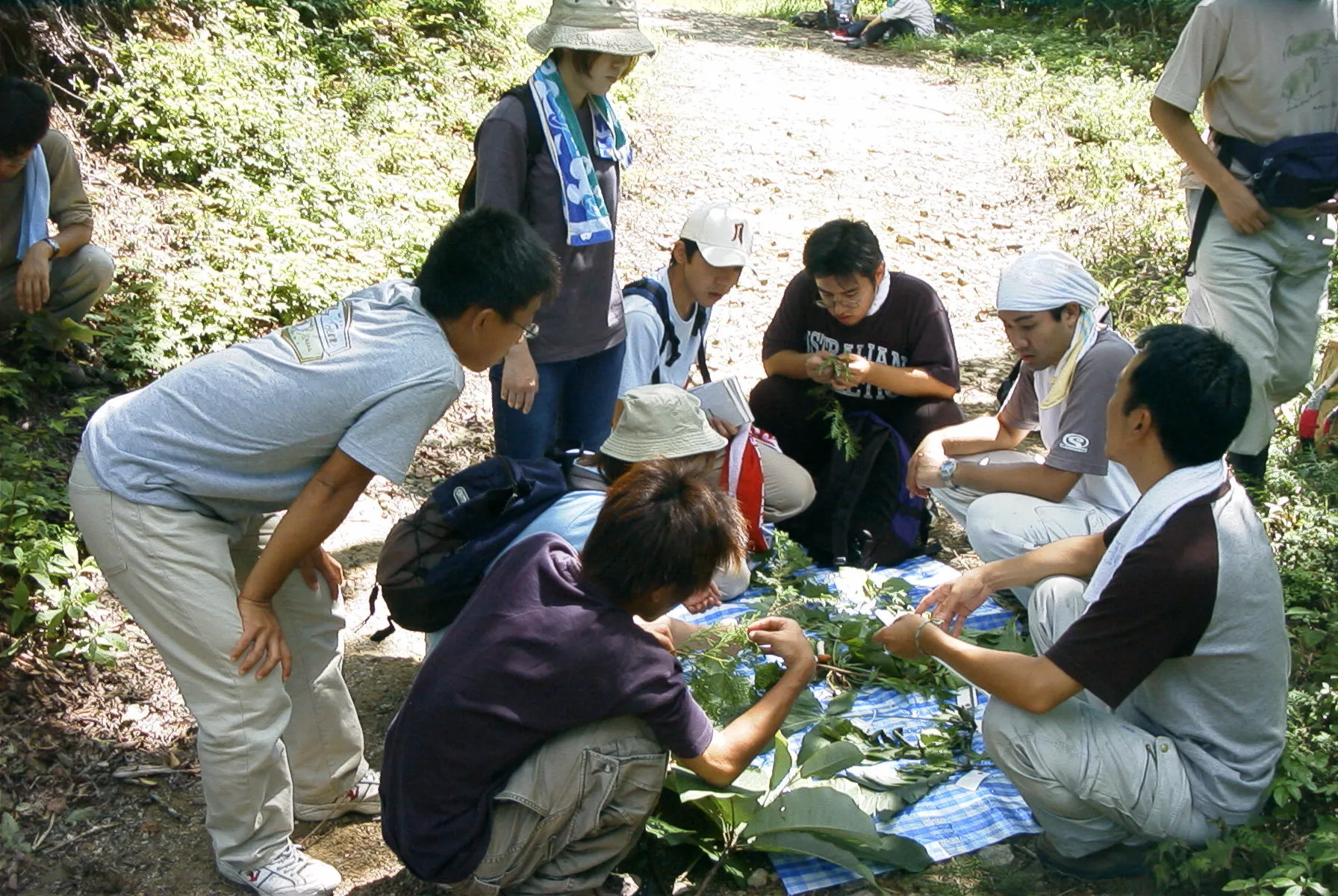 特定非営利活動法人森のなりわい研究所 | 岐阜エリア