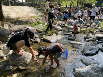 白川町 | 中濃エリア
