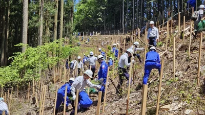 清水建設株式会社 『シミズめぐりの森 郡上』 | 中濃エリア