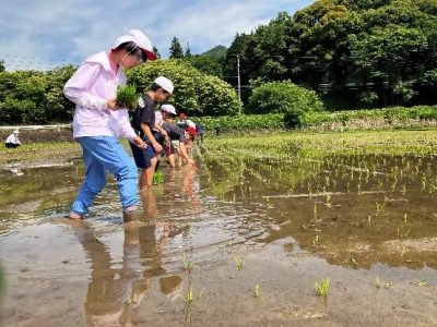 岐阜トヨペットホールディングス株式会社 | 岐阜エリア